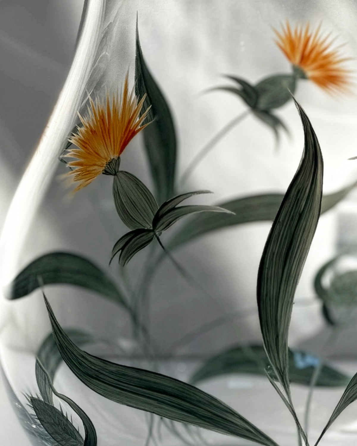 Saint Rémy Jug & Wine Glasses · glassware hand-painted in curry · Los Vasos de Agua Clara